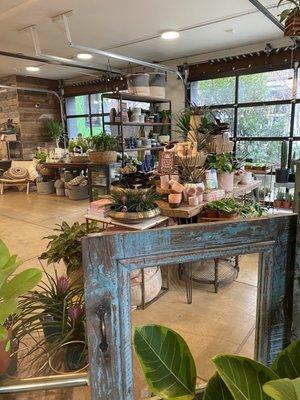 Home goods / plants / pots