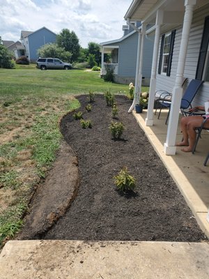 An after photo of a yard landscape project the previous landscaper had the beds squared and older looking this is new and updated