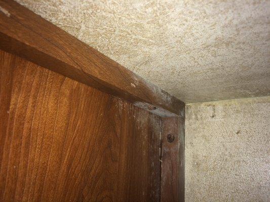 Mold in the cabinets