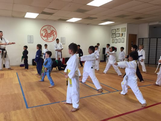 Sensei Cameron with his future ninjas!