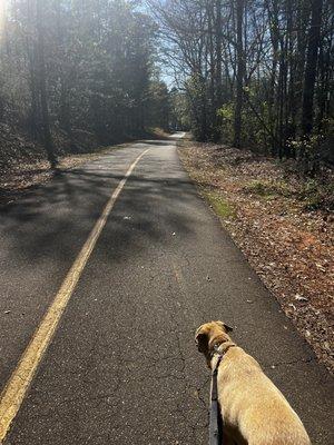 Paved walking/bike trail