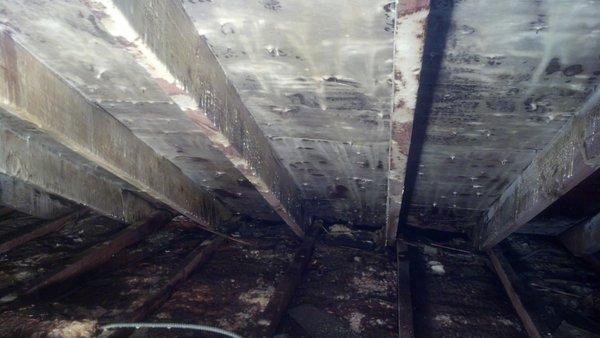 Mold Remediation In Yonkers, NY