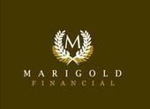 Marigold Financial, LLC - If we don't collect, you don't pay!