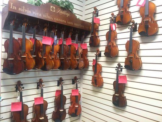 A few of the performance level violins at Absolute Music