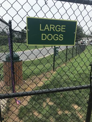 Large dog area