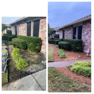 Mulch job before and after