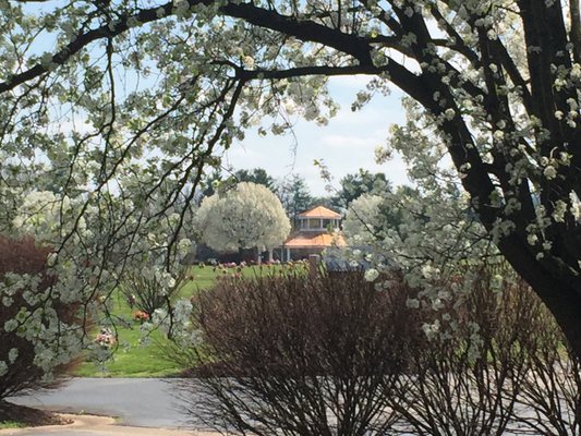 Polk Memorial Gardens