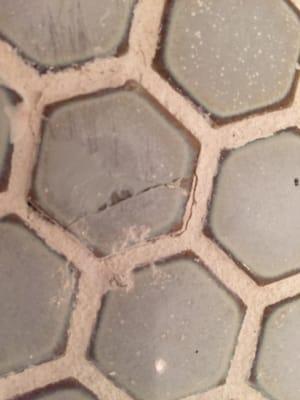 Shower floor with cracked tiles, and wrong grout color that began crumbling immediately.