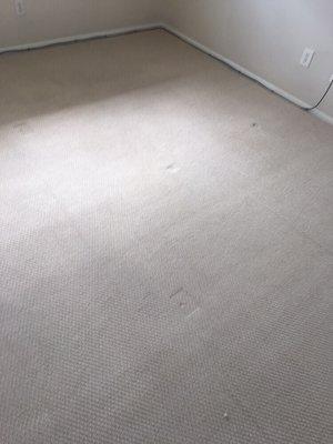 Justice Carpet Cleaning