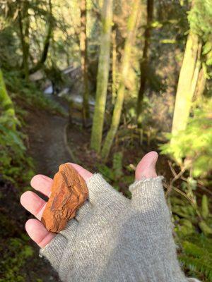 Cougar Mountain Regional Wildland Park