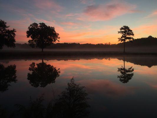 Reflecting at the pond