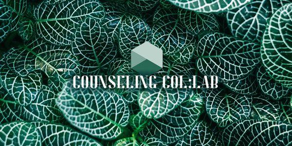 Counseling Collab