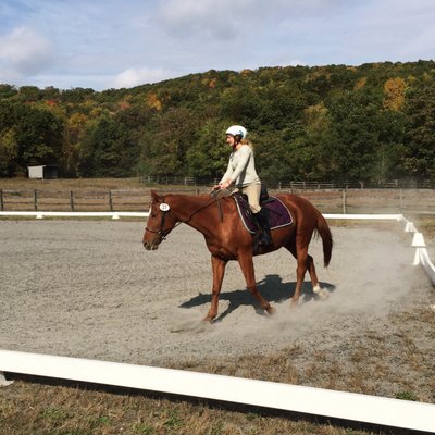 Oxbow Stables