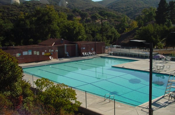 Our huge, solar heated pool