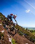 Have you checked out the Fuji mountain bikes?