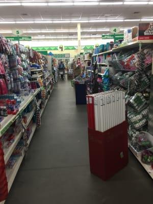 Wilmington Dollar Tree -- Wilmington Crossing : 231 Main Street / Routes 129 & 38, Wilmington            Interior