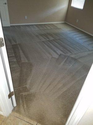 Carpet cleaning