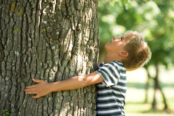 Baytown Tree Care