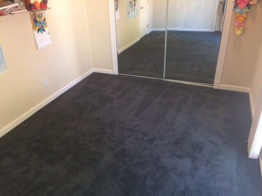 Carpet installed in the Cambrian Park neighborhood of San Jose