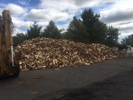 Plenty of firewood to keep the fire lit in those chilly winter months!