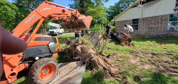 Wild Wood Landscaping