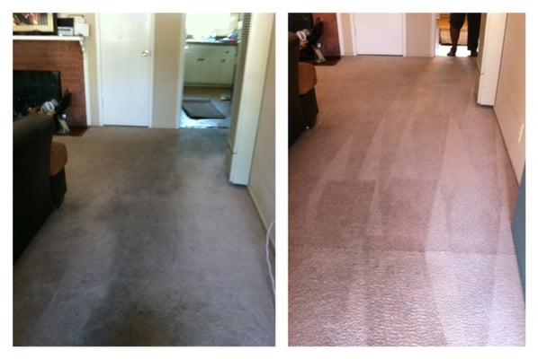 Before and After Cleaning!