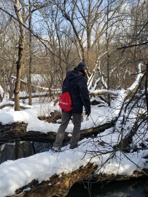 Winter hiking- gotta get creative