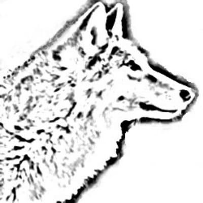 Wolfe Computer Solutions logo