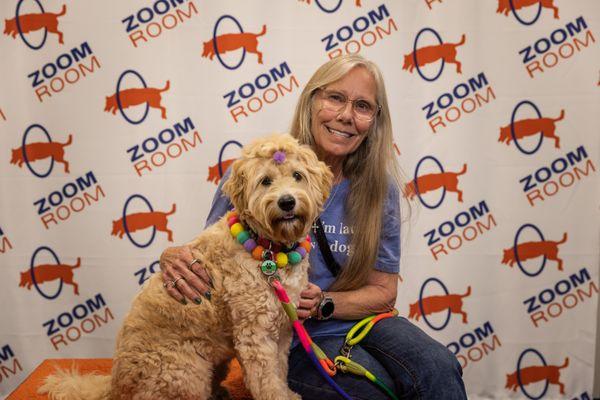 Zoom Room Dog Training