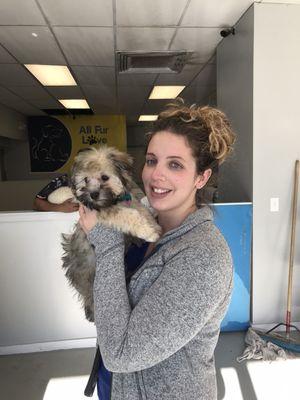 Gracie, the 3 month old havanese is ready for her first bath!