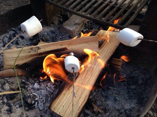 Each cabin has a fire pit