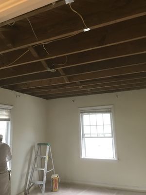 Ceiling Replacement - #1 Removal