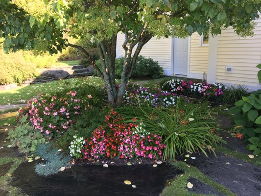 Flower bed with pink and red flowers next to a home