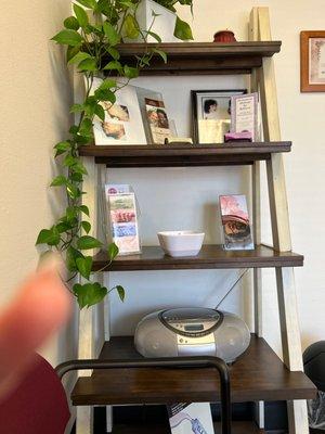 Shelving in waiting room