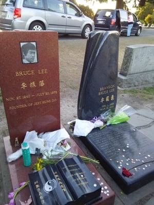 RIP Bruce & Brandon Lee