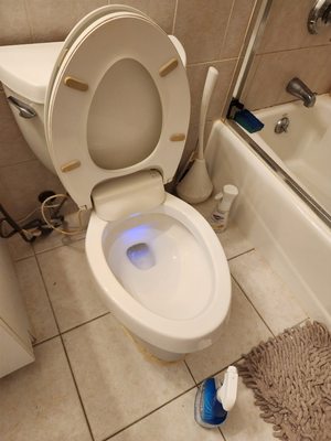 Toliet cleaned with bleach