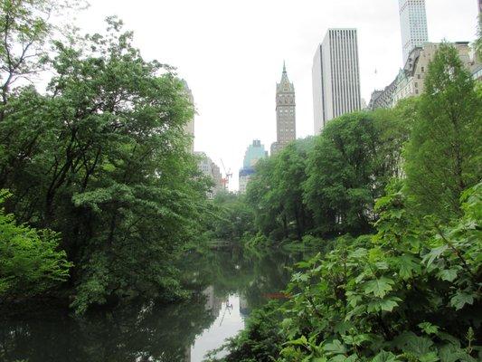 Hallet Nature Sanctuary Central Park NYC photo Lucinda Lewis Photography 24 May 2016