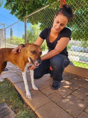 CRT K9 Dog Training