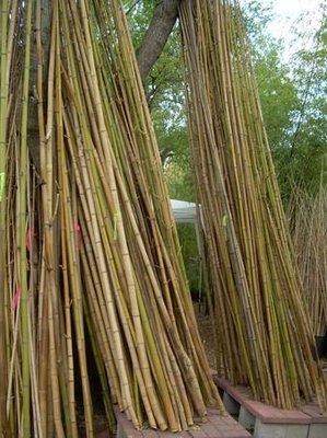 Bamboo Branch Poles, Parts & Pieces