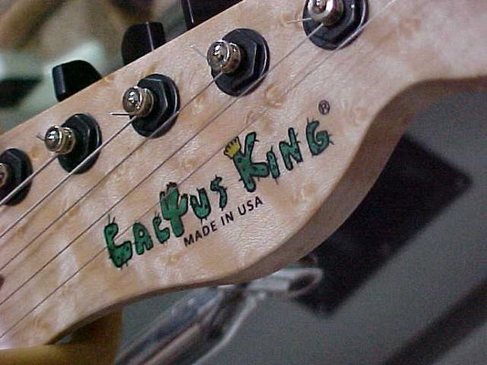 Cactus King Guitars & Repair