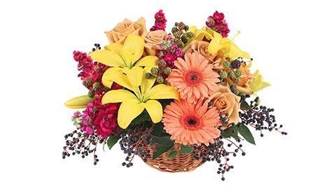 Floral arrangements for birthday's and anniversaries, no problem, call us today.