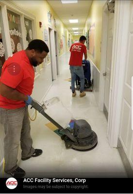 Hallway Stripping