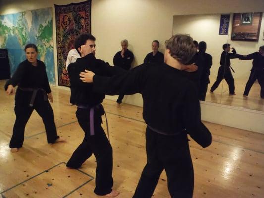 Kenpo is the foundation of PAMA's self-defense training.