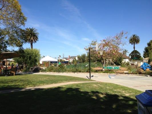 View of the upper garden from the back yard area