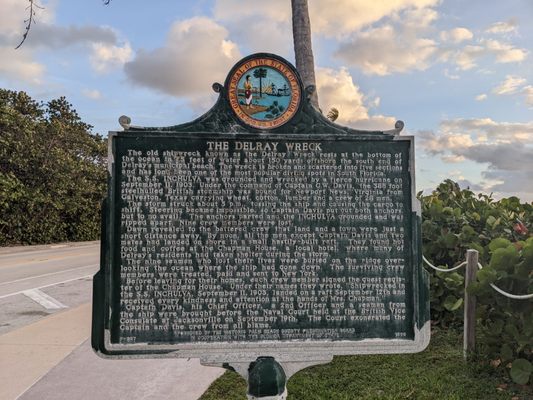 The Delray Wreck