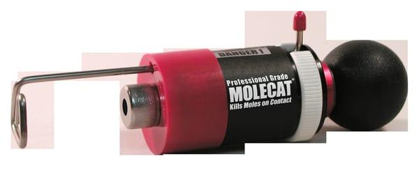 Molecat