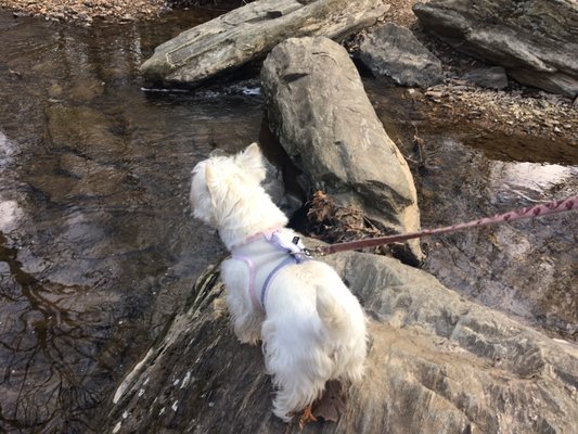 Love the sound of the creek. So relaxing.