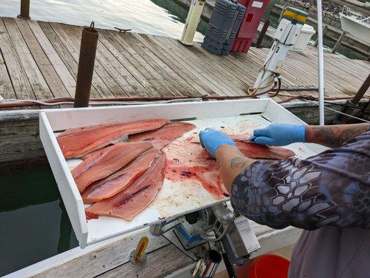 Last Cast Charters