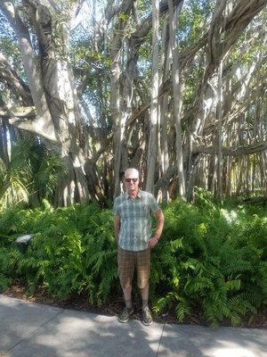 Love this canopy of live oaks.. South Florida heat can be heavy..