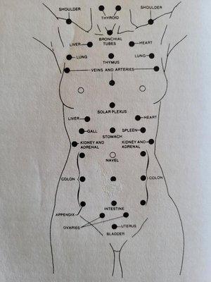 Body reflex points